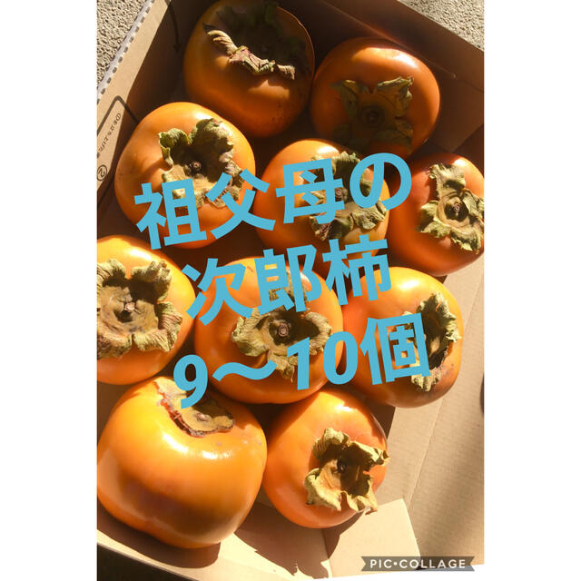 祖父母の次郎柿　9〜10個 食品/飲料/酒の食品(フルーツ)の商品写真