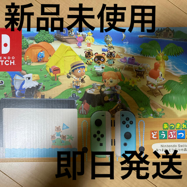 ニンテンドースイッチ どうぶつの森  同梱版