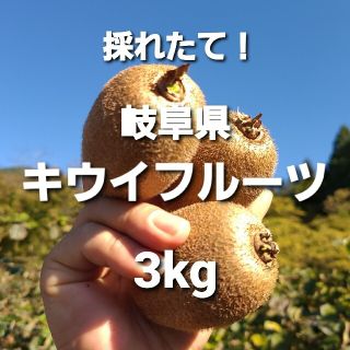 ③03 岐阜県産 無農薬 キウイフルーツ  3kg お得！(フルーツ)