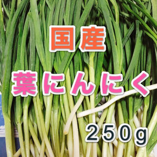 国産　無農薬野菜　葉にんにく　250g(野菜)