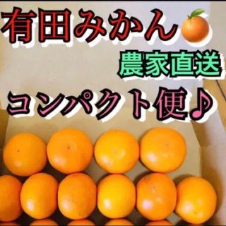 和歌山　有田みかん　新鮮コンパクト便(フルーツ)