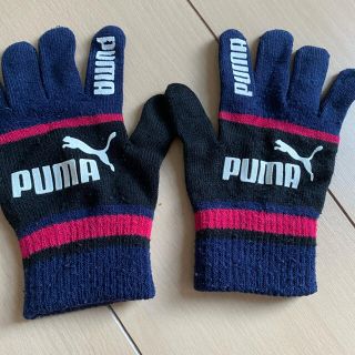 プーマ(PUMA)のPUMA 手袋　16センチ(手袋)