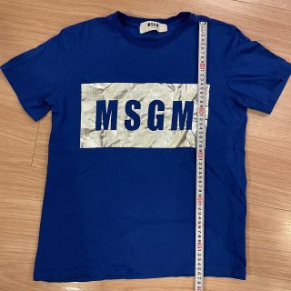 エムエスジイエム(MSGM)のMSGM Tシャツ(Tシャツ(半袖/袖なし))