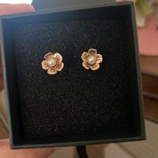 コーチ ティーローズフラワー ピアス
