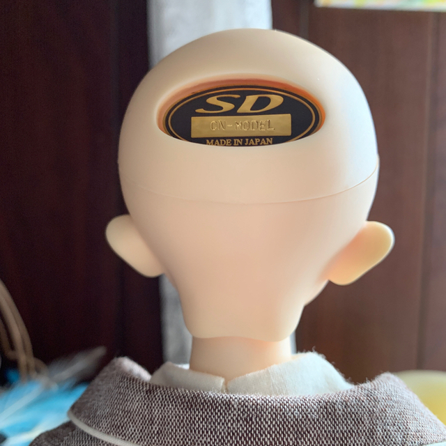 ボークス SDM-F 48 男の子 コーディネートモデル ボークス SDM-F 48 男の子 コーディネートモデル