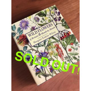 洋書 wild flower 素敵な植物画