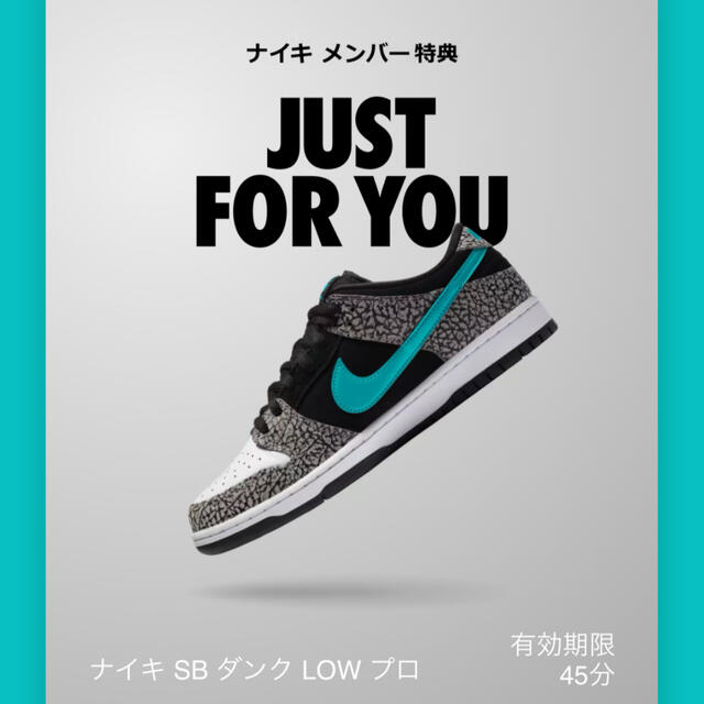 NIKE(ナイキ)のNIKE SB ダンク LOW エレファント メンズの靴/シューズ(スニーカー)の商品写真