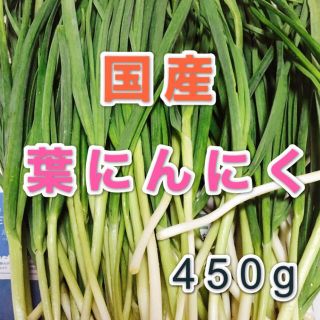 国産　無農薬野菜　葉にんにく　450g(野菜)