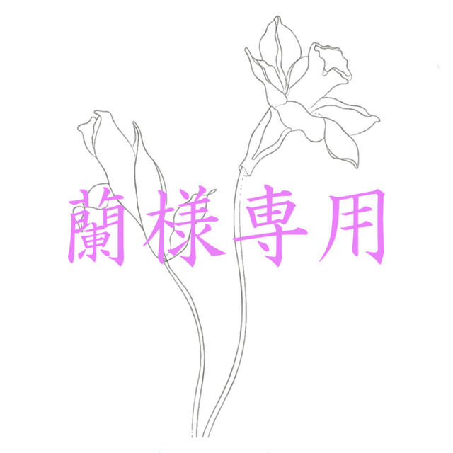 【蘭さま専用】モテソルベ6個セット コスメ/美容のボディケア(ボディクリーム)の商品写真