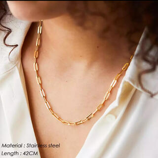 シールームリン(SeaRoomlynn)のBoston chain choker ボストン チェーンネックレス(ネックレス)