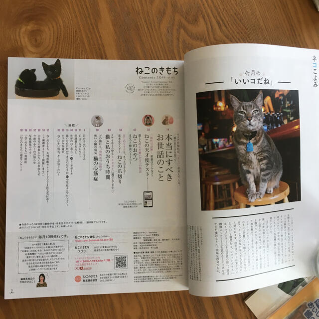 『ねこのきもち』2020年10月号