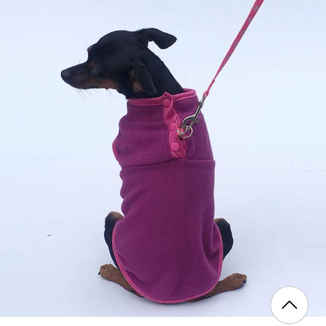 犬服　フリース   その他のペット用品(犬)の商品写真