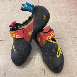 スカルパ(SCARPA)の値下げ！スカルパ　SCARPA  ドラゴ　DRAGO クライミングシューズ(登山用品)