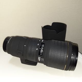 期間限定 SIGMA APO 100-300mm F4 EX DG Kマウント