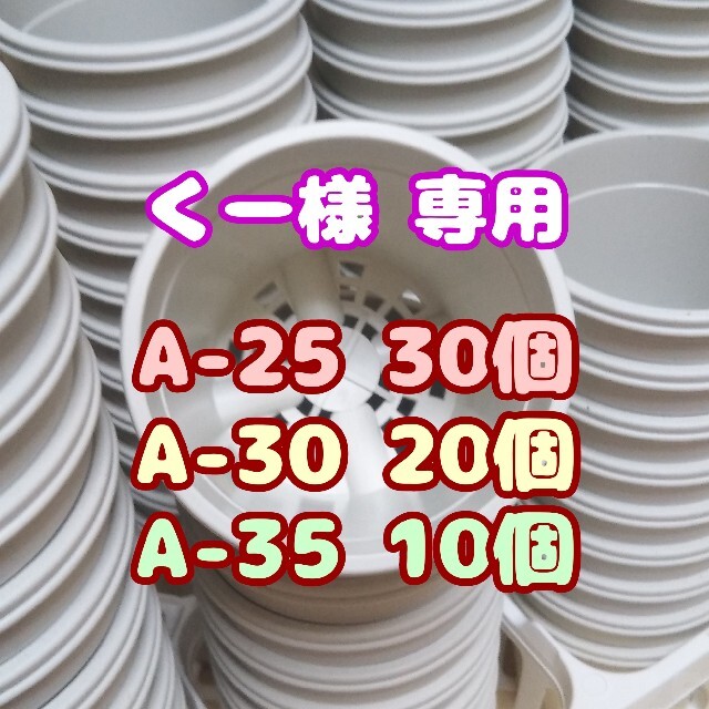 プラ鉢2.5号【A-25】30個 他 スリット鉢 丸 プレステラ 多肉植物 ハンドメイドのフラワー/ガーデン(プランター)の商品写真