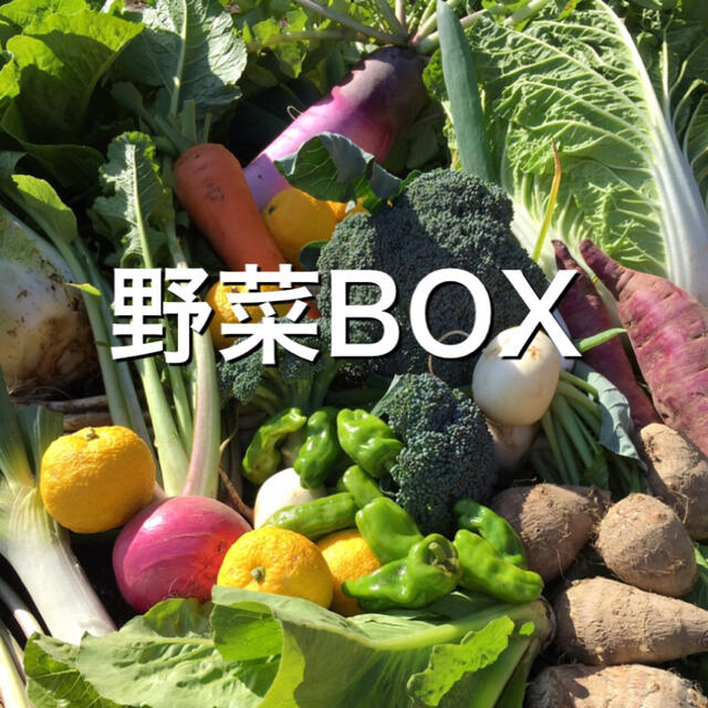 野菜BOX Lサイズ 食品/飲料/酒の食品(野菜)の商品写真