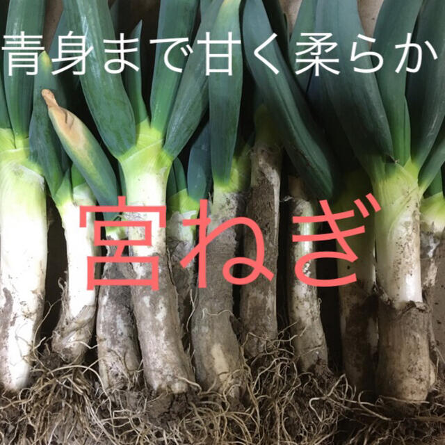 野菜BOX Lサイズ 食品/飲料/酒の食品(野菜)の商品写真