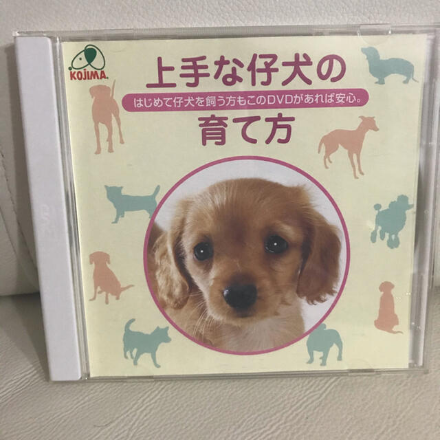 ♡ 上手な仔犬の育て方　DVD その他のペット用品(犬)の商品写真