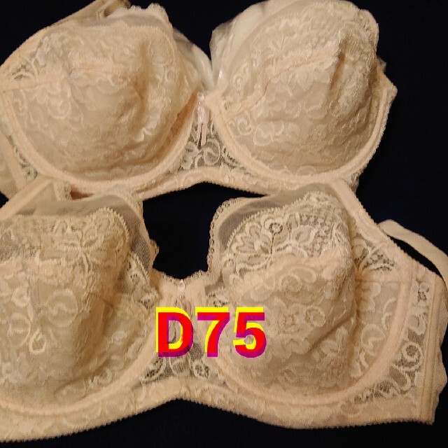 DIANA(ダイアナ)のダイアナ補正ブラジャー2枚セット レディースの下着/アンダーウェア(ブラ)の商品写真