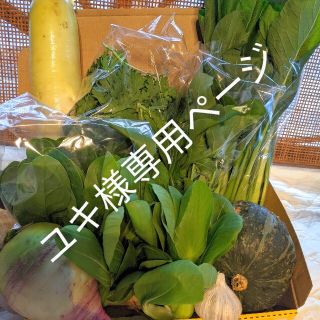 ユキ様専用ページ(野菜)