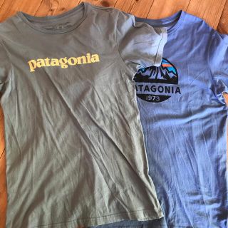 パタゴニア(patagonia)のpatagonia パタゴニア オーガニック コットン Tシャツ(Tシャツ/カットソー(半袖/袖なし))