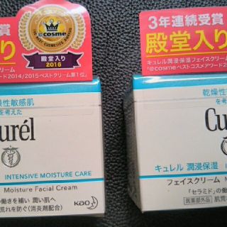 カオウ(花王)の花王キュレル潤浸保湿フェイスクリーム（40ｇ）2個セット(フェイスクリーム)