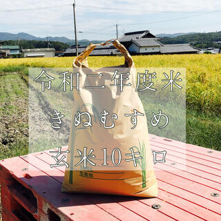 令和二年度米　きぬむすめ　玄米10キロ　新米(米/穀物)