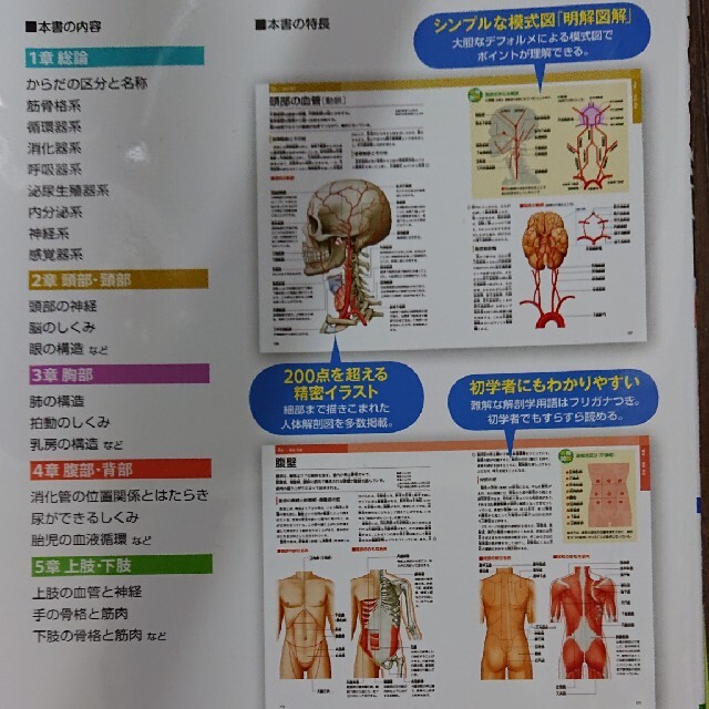 ぜんぶわかる人体解剖図 系統別 部位別にわかりやすくビジュアル解説の通販 By ふみえ S Shop ラクマ
