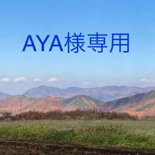 ベルメゾン(ベルメゾン)のAYA様専用　　水切りカゴ(収納/キッチン雑貨)