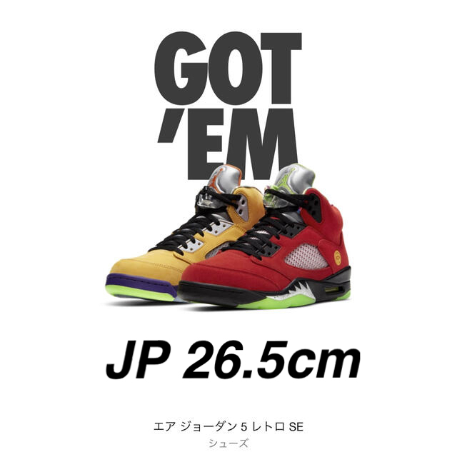 NIKE(ナイキ)のNIKE AIR JORDAN 5 RETRO SE ーWhat Theー メンズの靴/シューズ(スニーカー)の商品写真