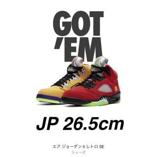 ナイキ(NIKE)のNIKE AIR JORDAN 5 RETRO SE ーWhat Theー(スニーカー)