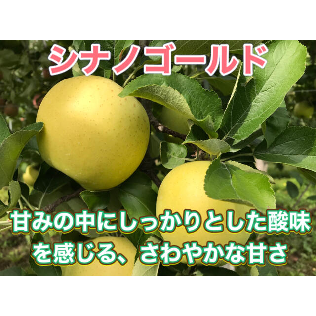 シナノゴールド  家庭用　10キロ　長野県産　減農薬　化学肥料不使用 食品/飲料/酒の食品(フルーツ)の商品写真