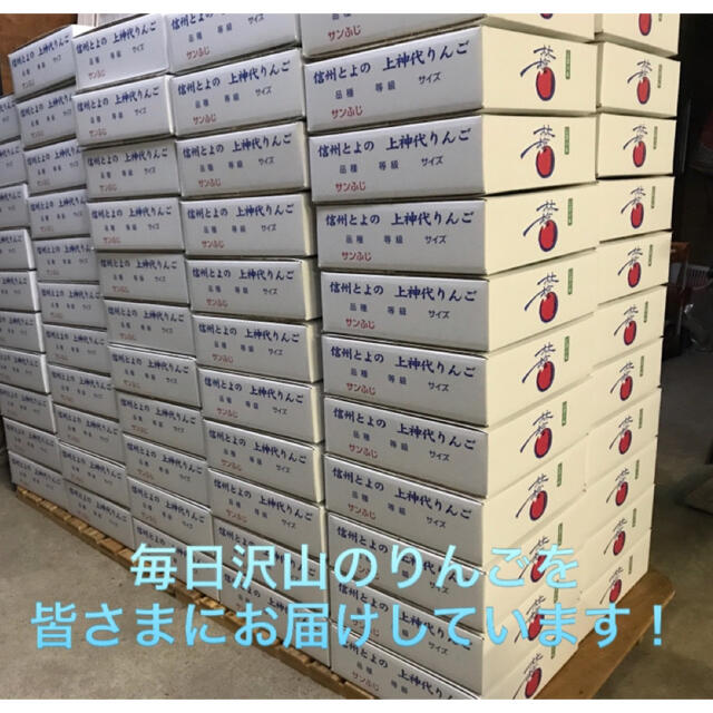 シナノゴールド  家庭用　10キロ　長野県産　減農薬　化学肥料不使用 食品/飲料/酒の食品(フルーツ)の商品写真