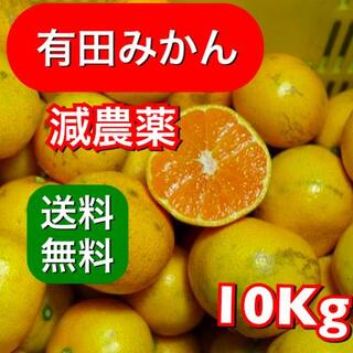 【有田みかん】10kg 減農薬　防腐剤・除草剤不使用(フルーツ)