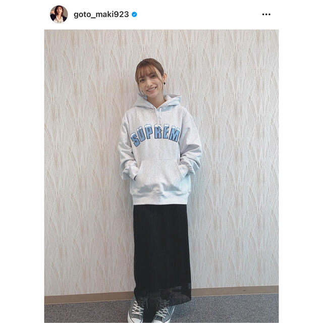 灰S Supreme Icy Arc Hooded Sweatshirt ゴマキ