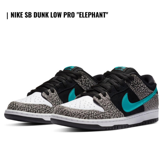 NIKE SB DUNK LOW PRO "ELEPHANT"27.5cm