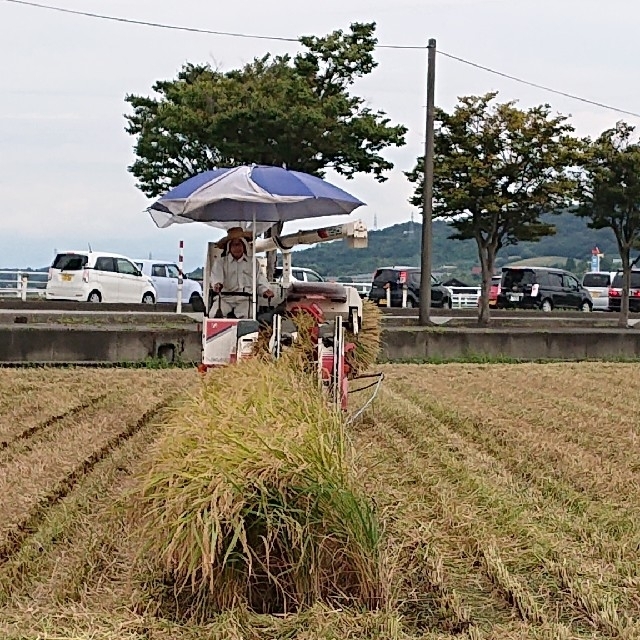 ✳️新米白米＋玄米✳️富山県産1等米コシヒカリ玄米10㎏＋白米9㎏　食品