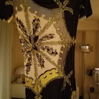 エミリオプッチ(EMILIO PUCCI)のTシャツ(Tシャツ(半袖/袖なし))