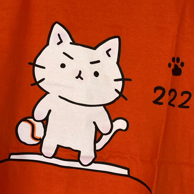 読売ジャイアンツ(ヨミウリジャイアンツ)の猫ピッチャーTシャツ エンタメ/ホビーのおもちゃ/ぬいぐるみ(キャラクターグッズ)の商品写真