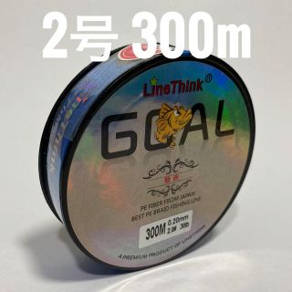 PEライン 2号 300m ブルー(釣り糸/ライン)