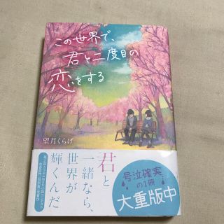 カドカワショテン(角川書店)のこの世界で、君と二度目の恋をする(文学/小説)