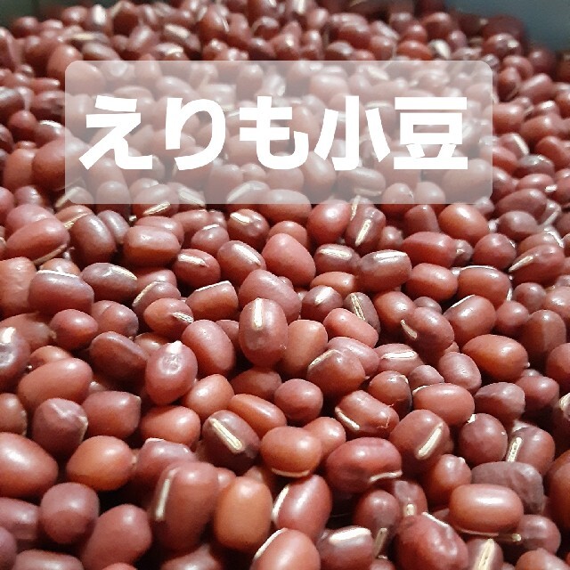 北海道　えりも小豆　お手頃価格　900g 食品/飲料/酒の食品(野菜)の商品写真