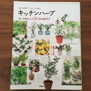 おうちで育てて、おいしく元気！キッチンハ－ブ 楽しい利用法＆レシピ１２５紹介品種(料理/グルメ)