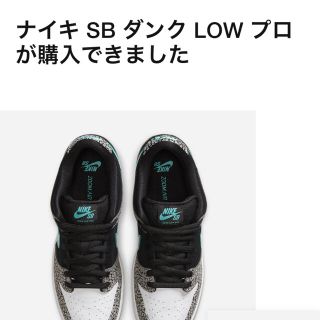 ナイキ(NIKE)のNIKE SB DUNK LOW "ELEPHANT" 27センチ(スニーカー)