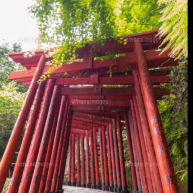 うまくいく守　　　　　　　　　　　　　　　　　佐賀　祐徳稲荷神社御守り その他のその他(その他)の商品写真