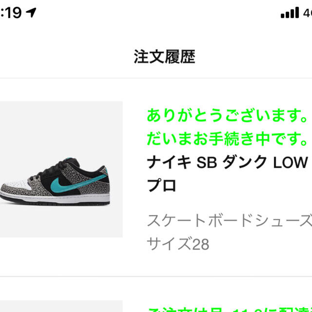 NIKE SB DUNK LOW ELEPHANT 28 cm