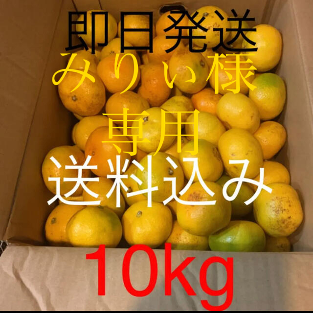 三重県産傷あり訳ありみかん約10kg 食品/飲料/酒の食品(フルーツ)の商品写真