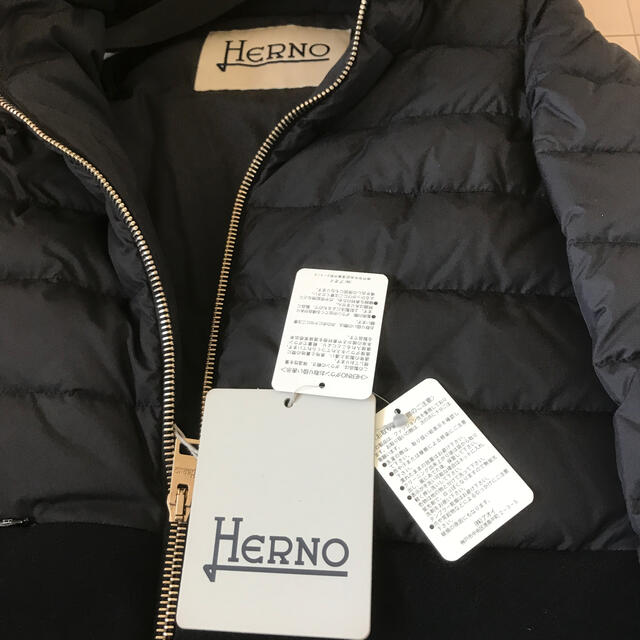 HERNO(ヘルノ)のHERNO ダウン×ウールコート レディースのジャケット/アウター(ダウンコート)の商品写真