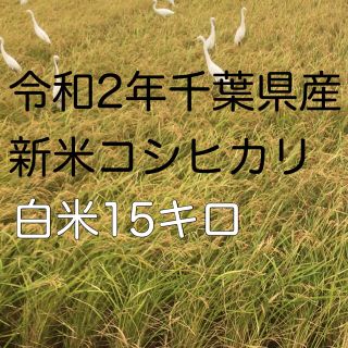 かつ様専用令和2年新米コシヒカリ白米15kg(米/穀物)