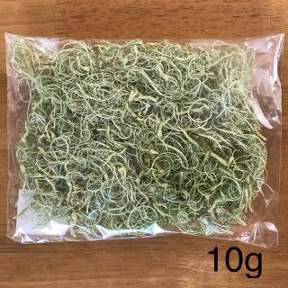 大地農園　カーリーモス　グリーン　10g(ドライフラワー)